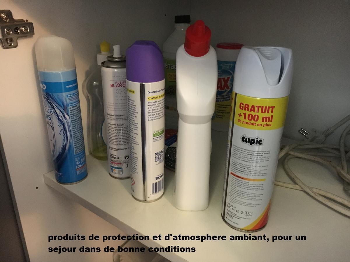 A Pied Dans L Eau Ecolo 97434 Apartman L'Ermitage-Les-Bains Kültér fotó